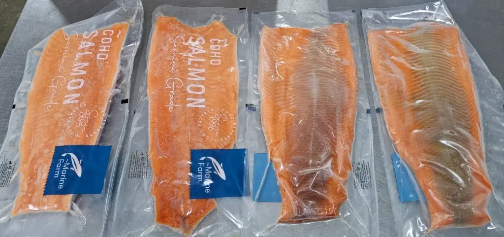 Salmon Exportacion.webp