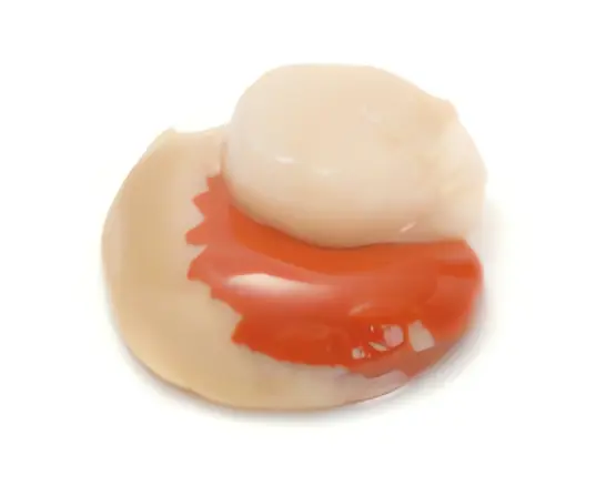  Ostiones Carne con Coral Congelado - Calibre  30/40 glaseo - Caja 10kg