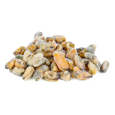  Chorito Congelado Seco - Caja 10kg